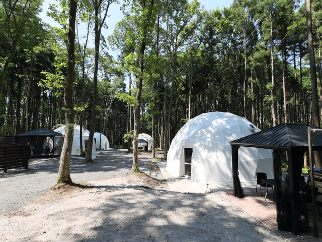 Ｙ－ＣＡＭＰ