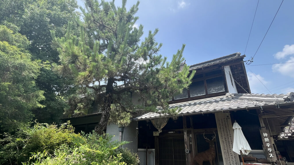 神野テラス