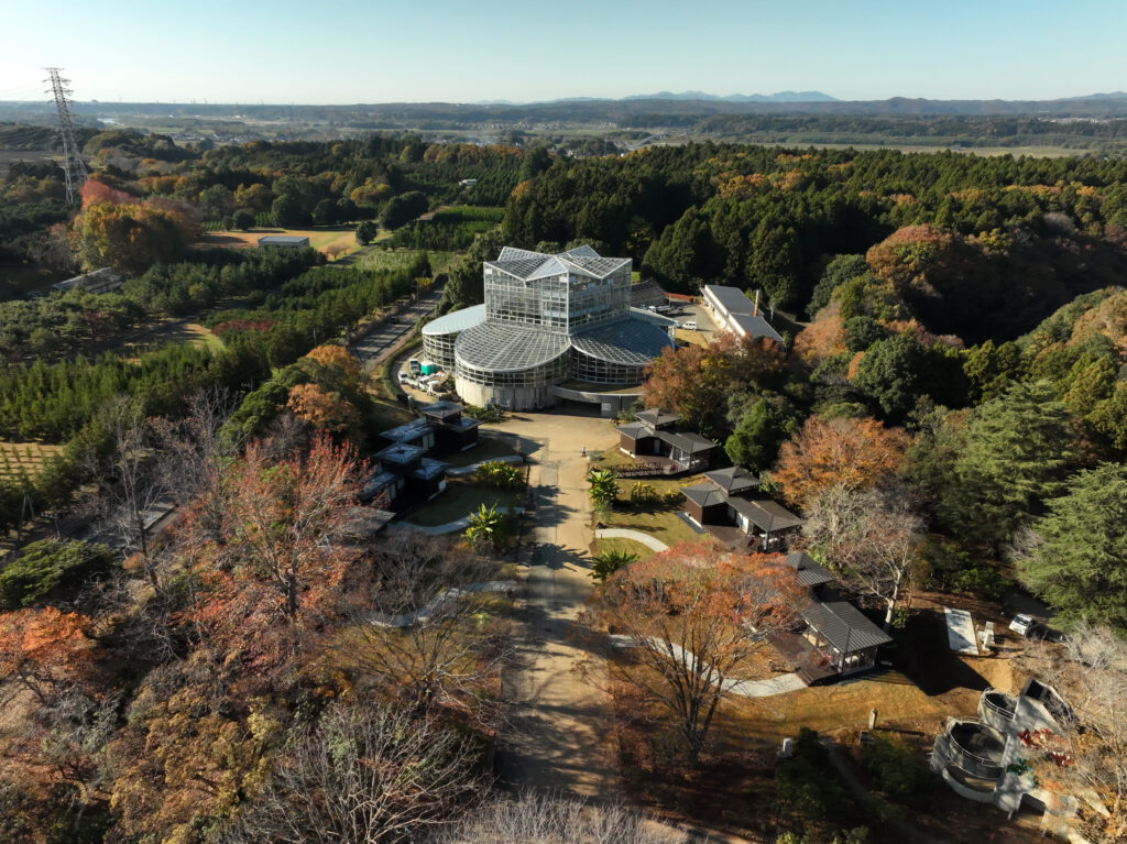 ＴＨＥ　ＢＯＴＡＮＩＣＡＬ　ＲＥＳＯＲＴ　林音