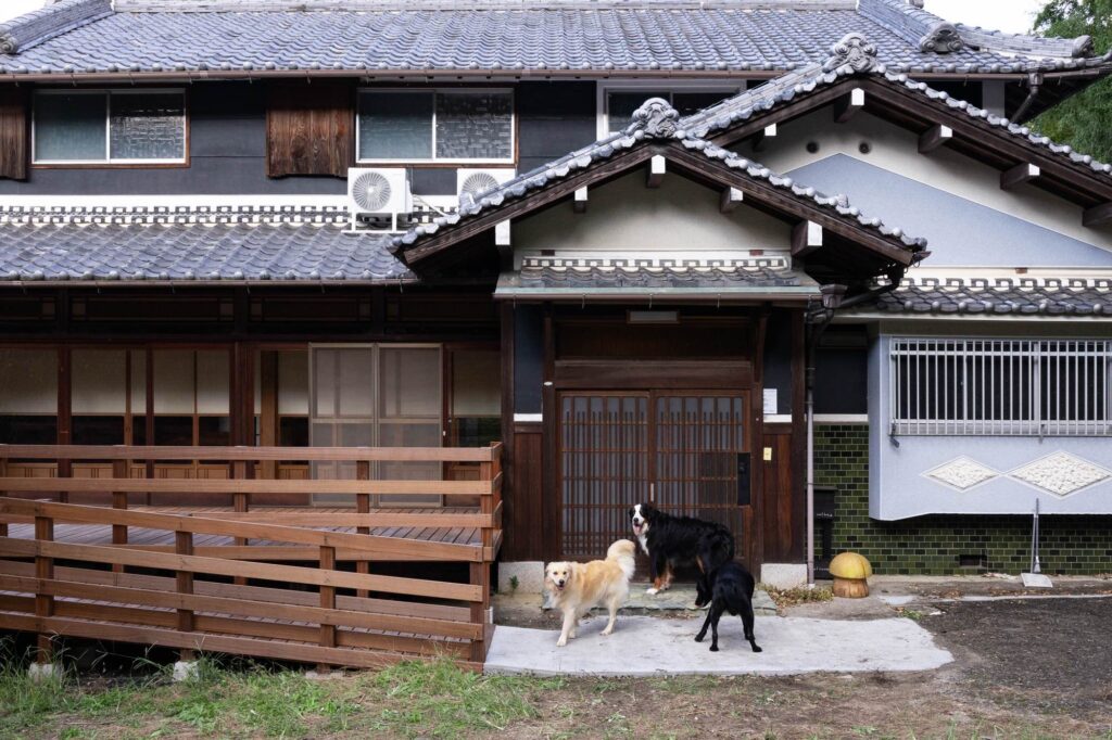 かぐや姫