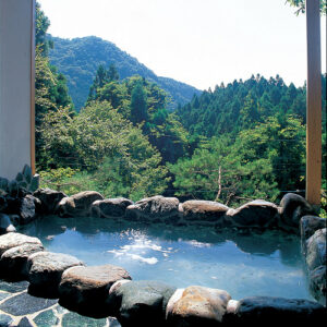 ギャラリー 2